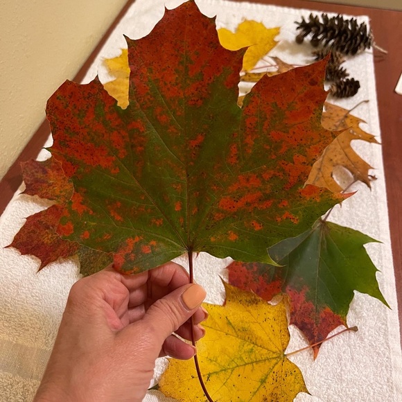 ❤️We're in Boise, 🤍comment if you're from Idaho!💙What a beautiful state!🥰 - Picture 6 of 14